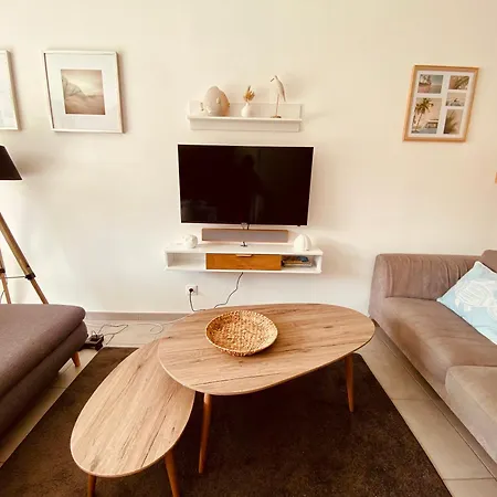 Grande Maison Moderne Avec Jardin 4