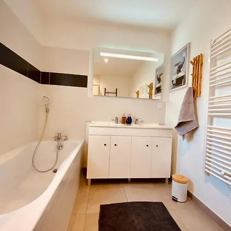 Grande Maison Moderne Avec Jardin 4